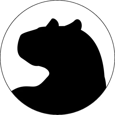 Panther Coffee